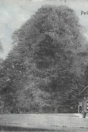 Tani Arnhem Park Sonsbeek Boerderij 1912 HC21307