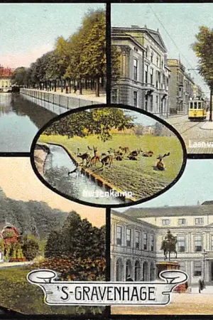 Promocja 's-Gravenhage Hofvijver Laan van Meerdervoort met nieuwe Gymnasium Tram Boschwachterswoning Koninklijk Paleis 1908 HC20963