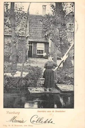 Oryginalny Voorburg Boerderij aan de Broeksloot met boerin 1900 Den Haag HC20931
