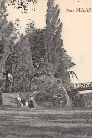 Autentyczny Maastricht Park 1908 HC20478