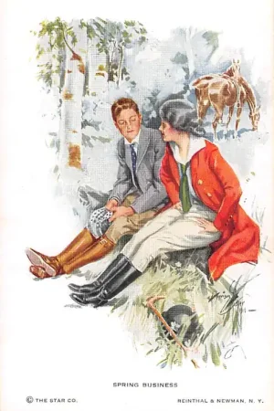 Fantasie Vintage Spring business Reinthal & Newmwn Illustrator Harrison Fisher HC20145 Tani