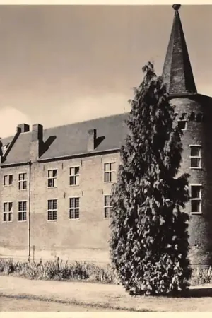 Helmond Kasteel - Raadhuis 5-centskaart Kasteelenserie Nr 17 Kasteel HC19970 Ostatnia szansa