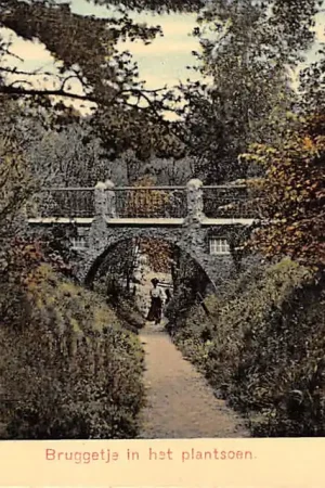 Baarn Bruggetje in het Plantsoen HC19938 Ekspresowa dostawa