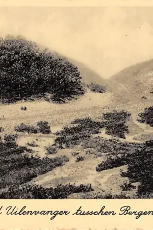 Bergen (NH) Duinpanorama b\\/d Uilenvanger tusschen Bergen - Bergen aan Zee 1933 HC19934 Oryginalny