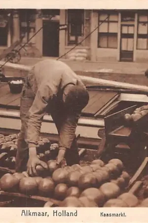 Alkmaar Kaasmarkt Laden kazen in het schip Klederdracht HC19530 Oferta limitowana