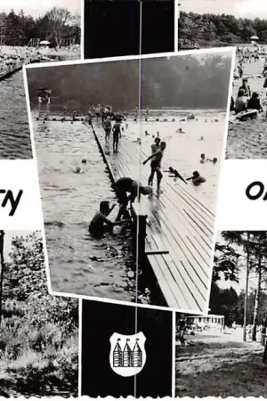 Oisterwijk Zwembad Staalbergen Bos - Restaurant 1966 HC19522 Wyprzedaż