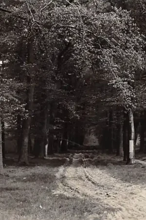 Tani Ede Kalverkamp Fotokaart Newo 1935 HC20029