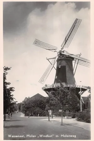 Ostatnia szansa Wassenaar Molen Windlust met Molenweg 1955 Den Haag HC18829