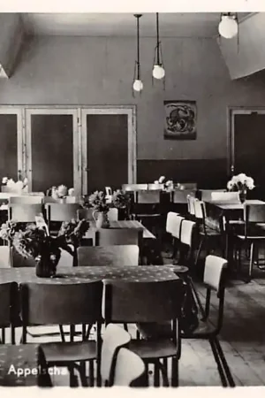 Oferta limitowana Appelscha Jeugdherberg Us Blau Hiem Interieur 1950 HC18693