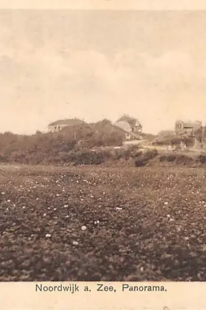 Oryginalny Noordwijk aan Zee Panorama 1919 HC18800