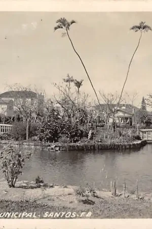 Wyprzedaż Brazilië Santos Orquidario Municipal Fotokaart Brasil Zuid-Amerika HC18423