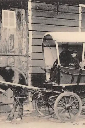 Darmowa dostawa Middelburg Walcherse Huifwagen met boerengezin in klederdracht Paard en wagen HC18326