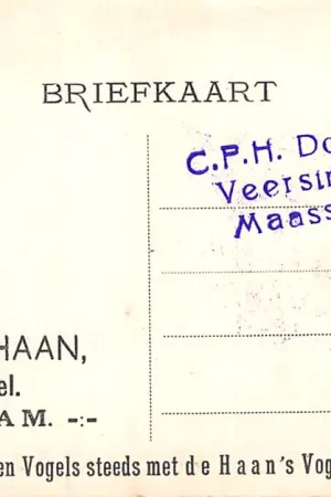 Zaandam Reclame Zaadhandel H.B. de Haan Voedert Uw hoenders en Vogels steeds met de Haan's Vogel- en Hoendervoeder HC18065 Oferta