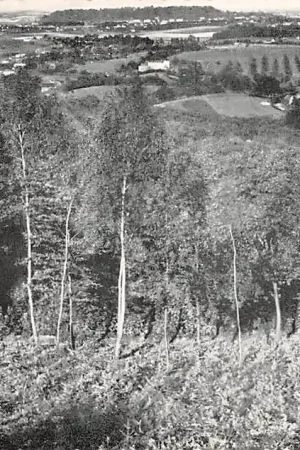 Oferta limitowana Vaals Panorama op de Duitse Lousburg 1967 HC18137