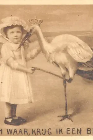 Koningshuis Prinses Juliana met ooievaar Is 't Heusch waar, krijg ik een broertje? HC17858 Najlepsza cena