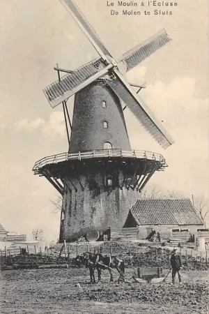 Sluis (ZL) De molen Le Moulin a l'Ecluse Boer aan het werk met twee paarden Zeeuws Vlaanderen HC17536 Promocja