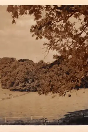 Arnhem Sonsbeek Originele fotokaart HC17415 Najlepsza cena