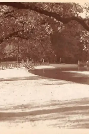 Rabat Arnhem Sonsbeek Originele fotokaart HC17400