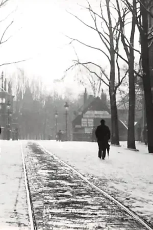 Popularny Zo was Dordrecht Johan de Wittstraat omstreeks 1905 Winter en tramspoor HC16977