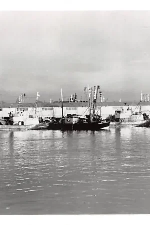 Urk Gem. Visafslag met vissers schepen UK 1 UK 6 en UK 52 HC16863 Ostatnia szansa