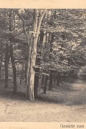 Dieren Gezicht vanaf den Carolinaberg HC16701 Bezpieczna płatność