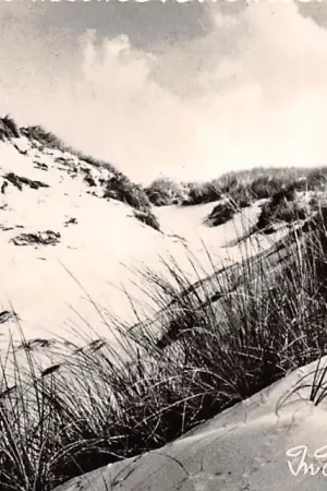 Schoorl Groeten uit 1960 In Hollands duinen HC16121 Oryginalny