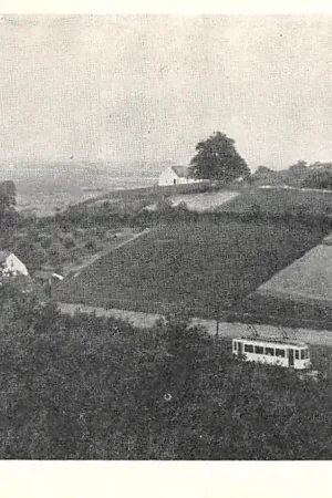 Berg en Dal Bergspoor met tram Nijmegen HC16033 Tani