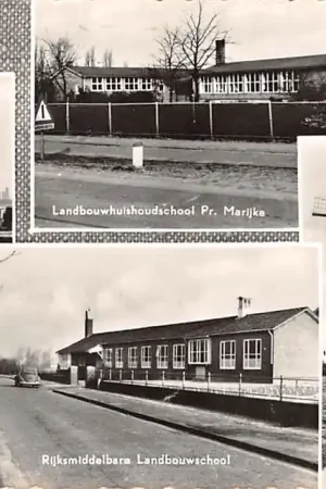 Schoondijke Groeten uit Landbouwhuishoudschool Het Paard Koren molen Rijksmiddelbare Landbouwschool HC16178 Tylko dziś