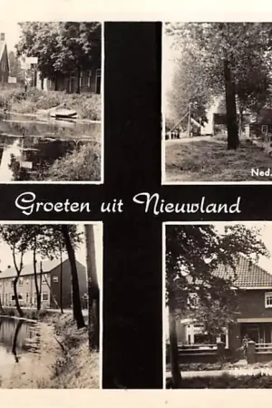 Oferta Nieuwland Groeten uit 1955 Ned. Hervormde Kerk Pastorie Lange Schenkel HC15973