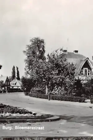 Borculo Nat. Monument Burg. Bl.oemersstraat 1969 HC15967 Rabat