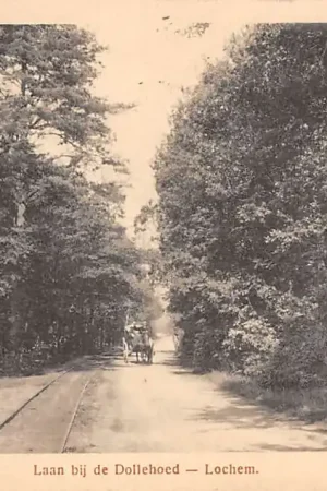 Lochem Laan bij de Dollehoed paard en wagen 1917 HC15954 Oferta