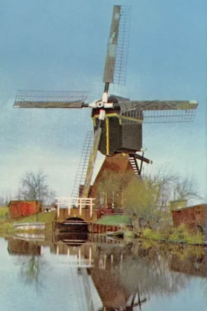 Loenen aan de Vecht Wipwatermolen Molen HC15857 Wyprzedaż