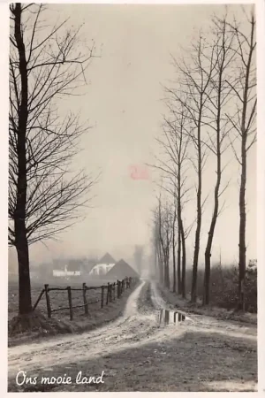 Putten Ons mooie land Landweg met boerderij 1950 Veluwe HC15469 Oryginalny