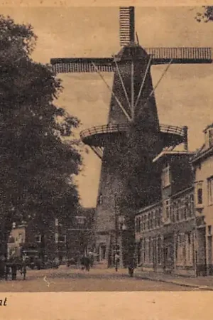 Tani Utrecht Adelaarstraat met Molen HC14959