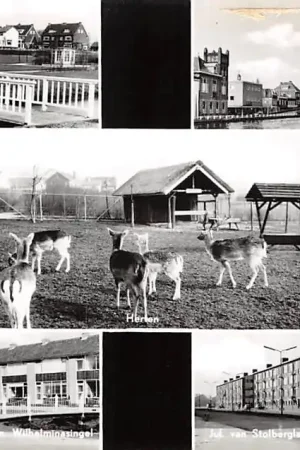 Waddinxveen Groeten uit 1964 Burg. Warnaarplantsoen Gouwe met Hefbrug Kon. Wilhelminasingel Jul. van Stolberglaan HC14570 Darmowa dostawa