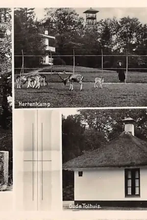 Kup teraz Baarn Groeten uit 1942 Hertenkamp Oude Tolhuis en Monument Christ. Pullmann HC13971