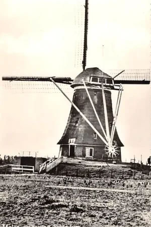 Schiedam Molen in de omgeving 1958 HC13705 Popularny