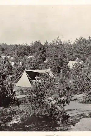 Oisterwijk Gezinsterrein De Reebok Camping 1956 HC13655 Darmowa dostawa