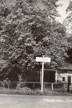 Hooghalen Oude Drentse Boerderij 1959 HC13088 Ekspresowa dostawa