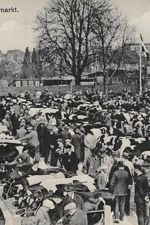 Dordrecht Veemarkt Marktdag HC13016 Wysoka jakość