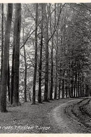 Gorssel Laan naar 't Kasteel 't Joppe 1933 HC12757 Zamów teraz