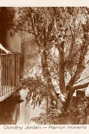 Oryginalny Film Filmster Ramon Navarro Dorothy Jordan Ross Verlag 4964\\/1 Metro Goldwyn Mayer Pictures HC12160