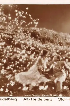 Najlepsza cena Film Filmster Ramon Navarro Norma Shearer Vieil-Heidelberg Alt-Heidelberg Old-Heidelberg Ross Verlag 98\\/5 Metro Goldwyn Mayer Pictures HC12150