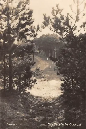 Ekspresowa dostawa Den Burg Texel Dennen Type fotokaart 1931 HC11387