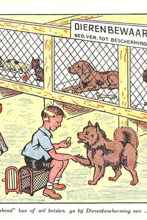 Vintage 's-Gravenhage Wie geen echte rashond kan of wil betalen, ga bij Dierenbescherming een \\ Popularny