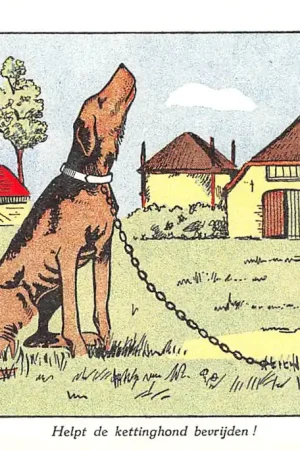Oferta limitowana 's-Gravenhage Helpt de kettinghond bevrijden! Nederlandsche Vereening tot bescherming van dieren Fantasie HC11180