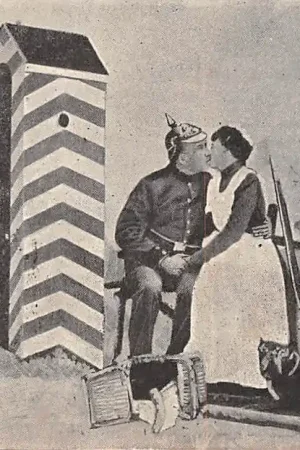 Darmowa dostawa Militair Onze dappere Landsverdedigers 2 Soldaat op wacht HC11173