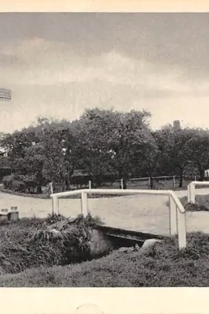 Nunspeet Molen De Duif 1955 HC10782 Promocja