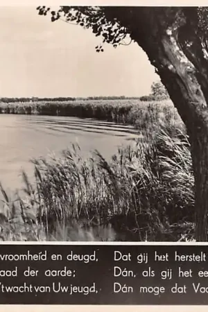 Kup teraz Vreeland Molen HC9914