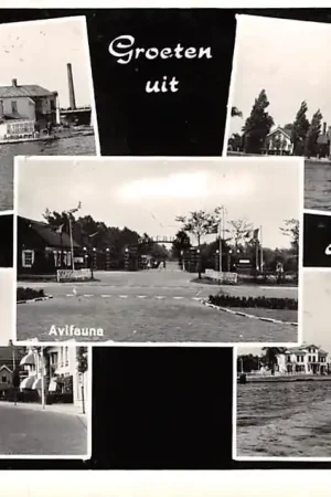 Szybka dostawa Alphen aan den Rijn Groeten uit 1961 Hotel 's Molenaarsbrug Avifauna Oudhoornse Kerk Prins Hendrikstraat en Oude Rijn HC9408